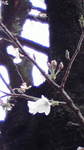 2010032714270000.jpg