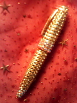 20100422 pen 100422_2317.jpg